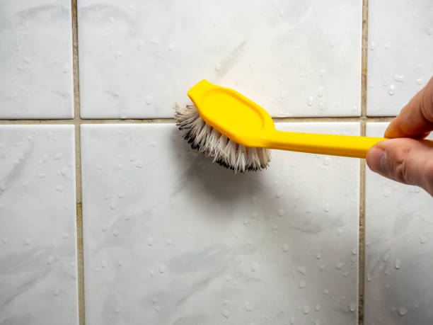 Best Professional Mold Removal  in Ocean Grove, NJ