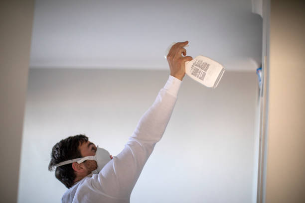 Best Fast Mold Removal  in Ocean Grove, NJ