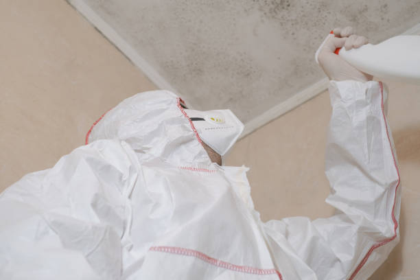 Best Toxic Mold Removal  in Ocean Grove, NJ
