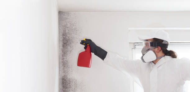 Mold Testing and Removal in Ocean Grove, NJ